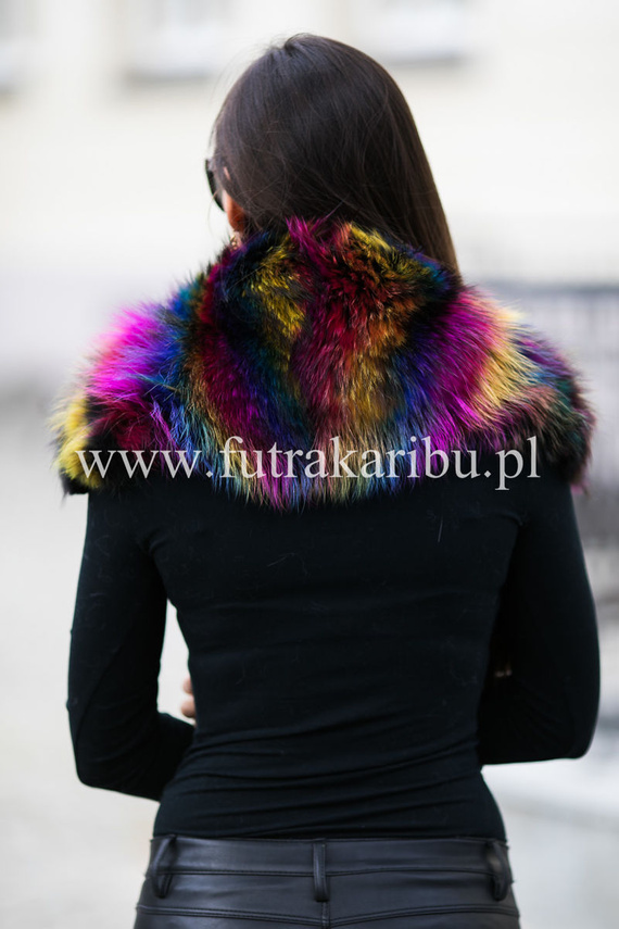 Large Detachable Finn Raccoon Fur Collar in Multicolour